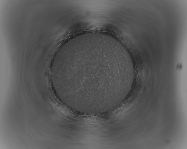 X0000090730769200707271402