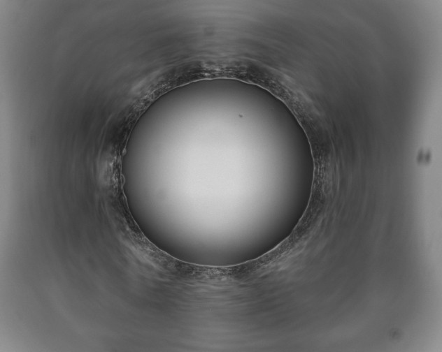 X0000090730770200707271402