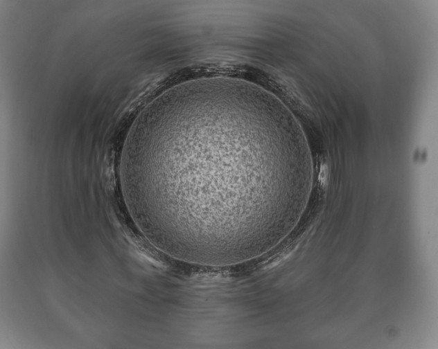 X0000090730771200707271402
