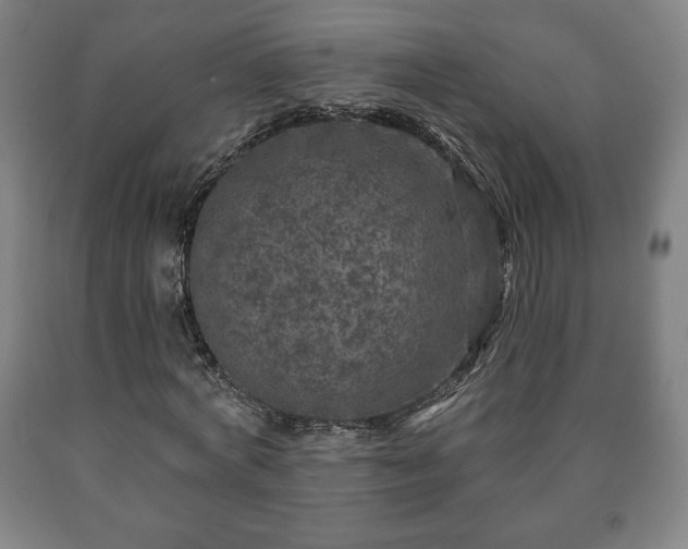 X0000090730772200707271402