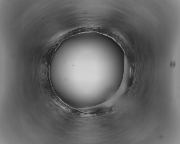 X0000090730773200707271402