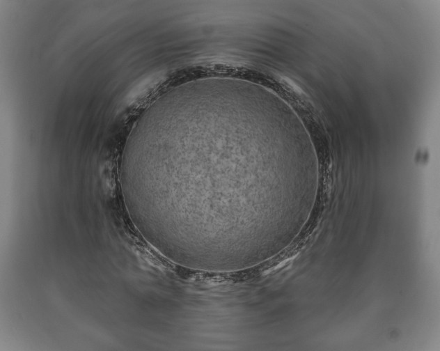 X0000090730774200707271402