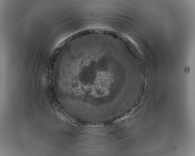 X0000090730775200707271402