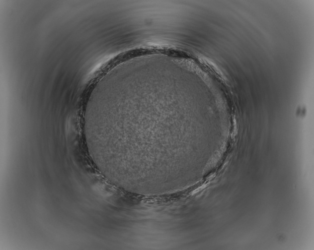X0000090730776200707271402
