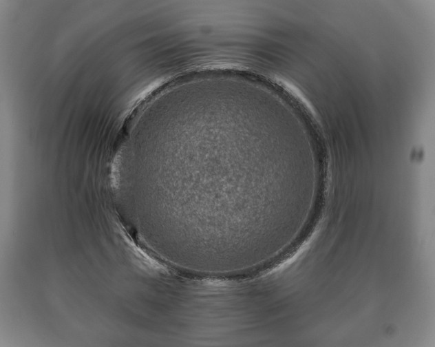 X0000090730777200707271402