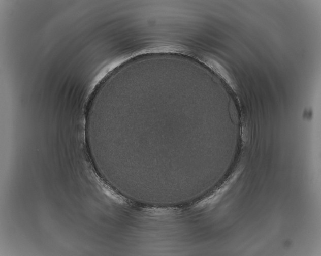 X0000090730781200707271402