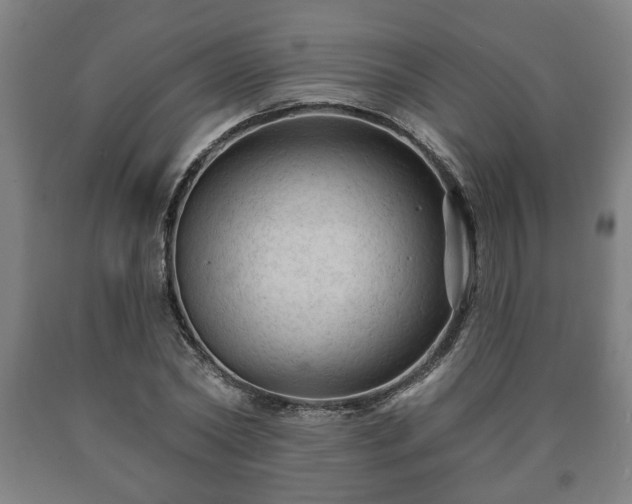 X0000090730782200707271402