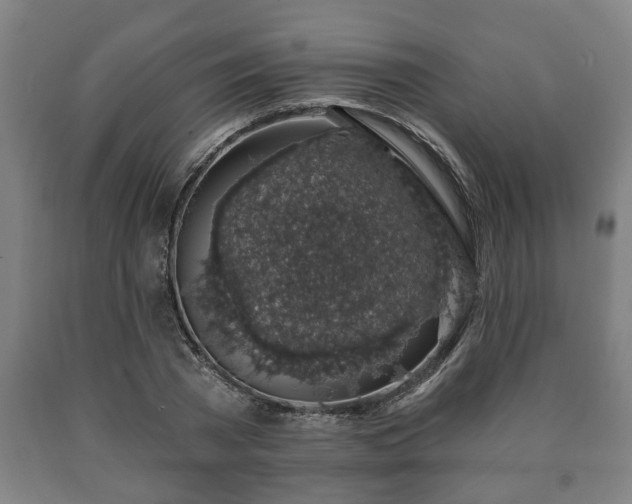 X0000090730785200707271402