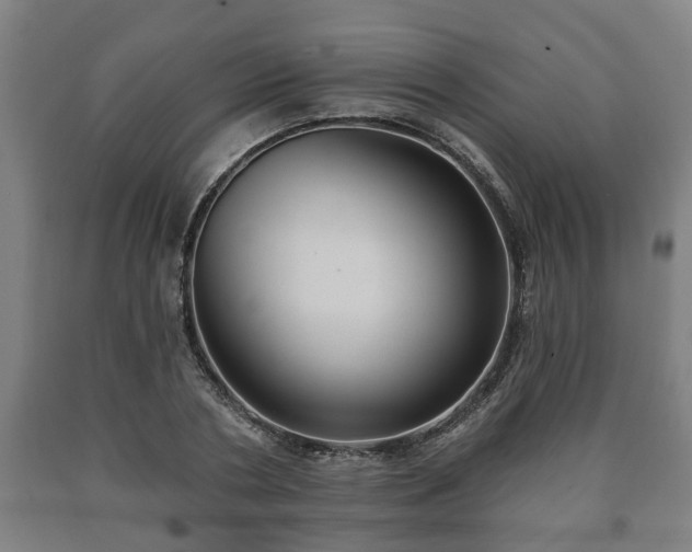 X0000090730786200707271402