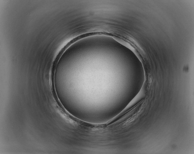 X0000090730788200707271402