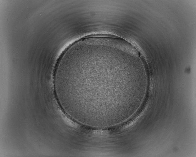 X0000090730789200707271402