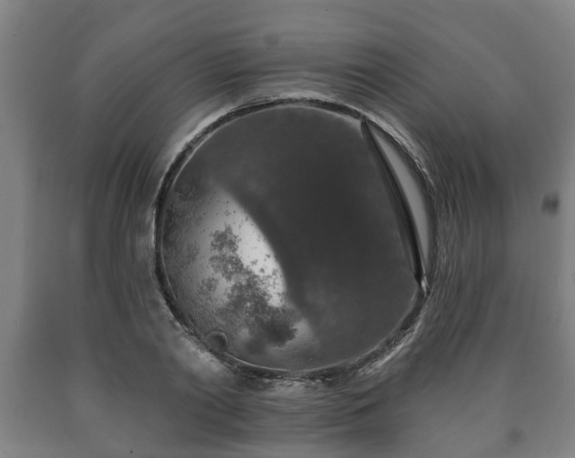 X0000090730790200707271402