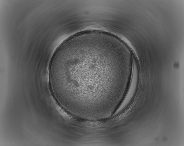 X0000090730791200707271402