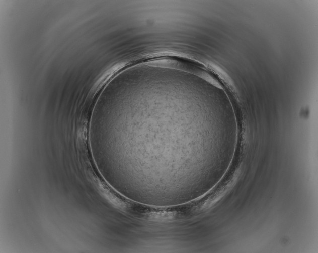 X0000090730793200707271402