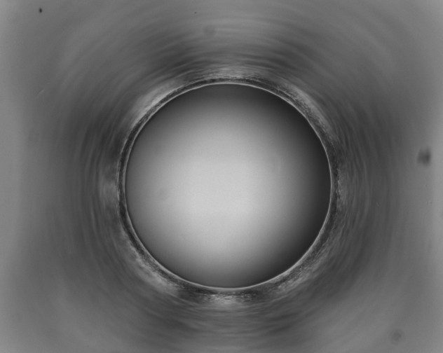 X0000090730794200707271402