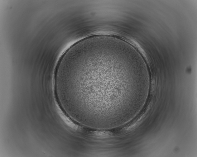 X0000090730795200707271402