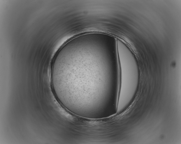 X0000090730796200707271402