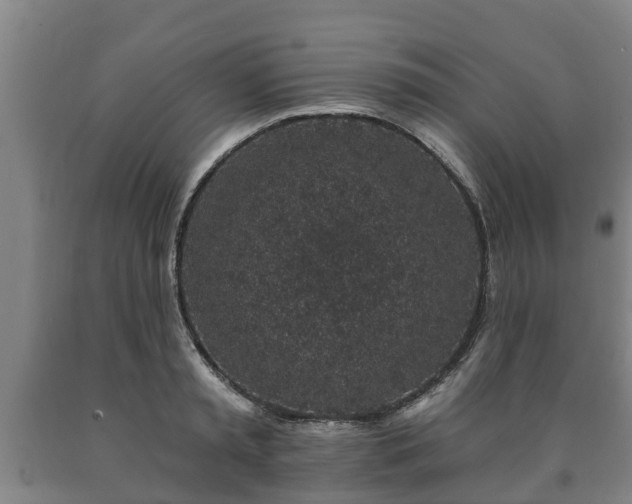 X0000090730797200707271402