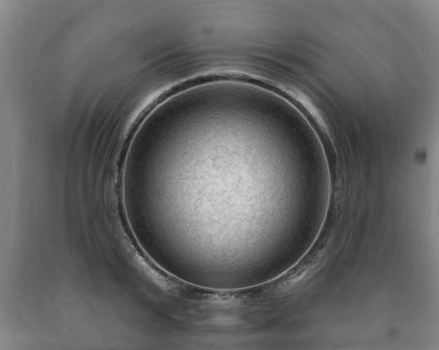 X0000090730799200707271402