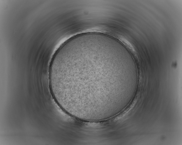 X0000090730800200707271402