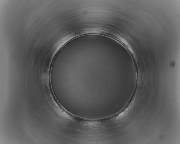 X0000090730802200707271402