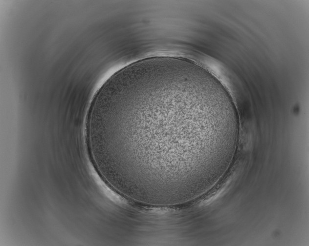 X0000090730803200707271402