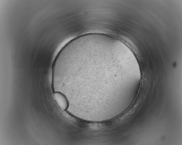 X0000090730804200707271402
