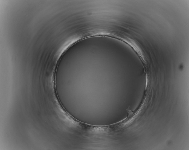 X0000090730806200707271402