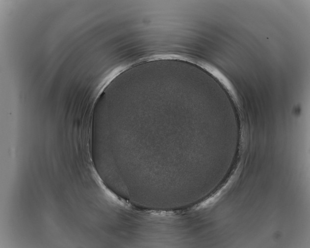 X0000090730809200707271402
