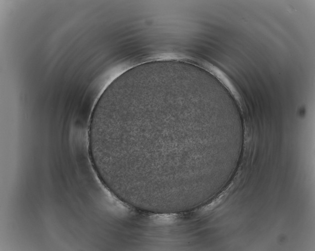X0000090730810200707271402