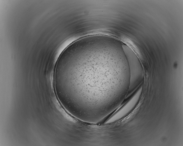 X0000090730812200707271402