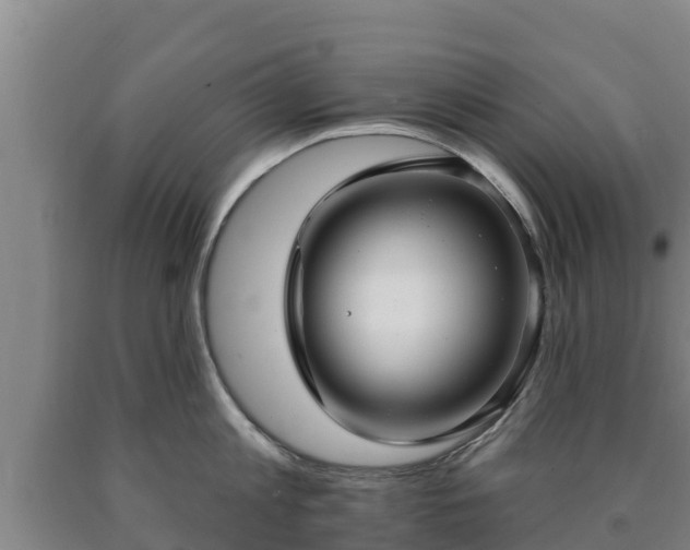 X0000090730813200707271401