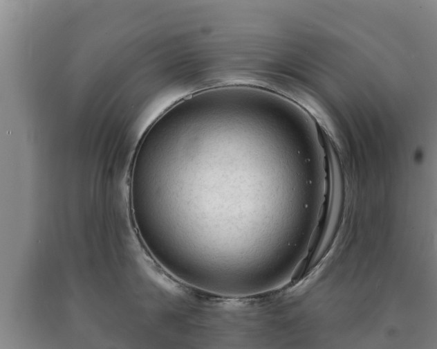 X0000090730814200707271401