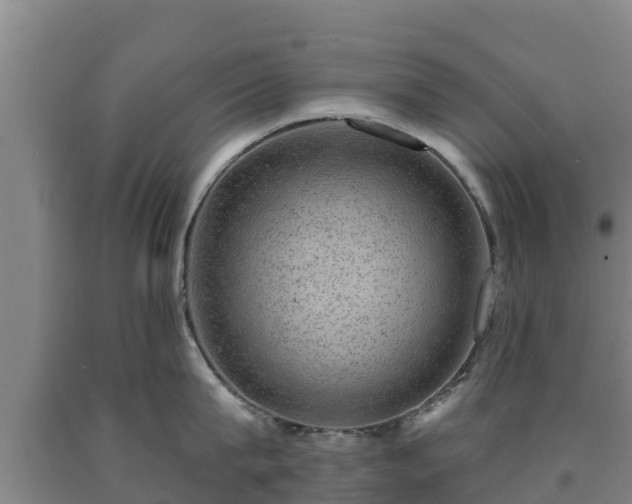 X0000090730815200707271401