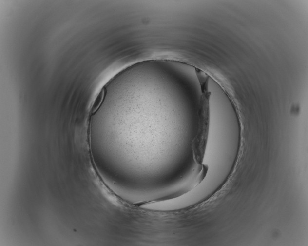 X0000090730816200707271401