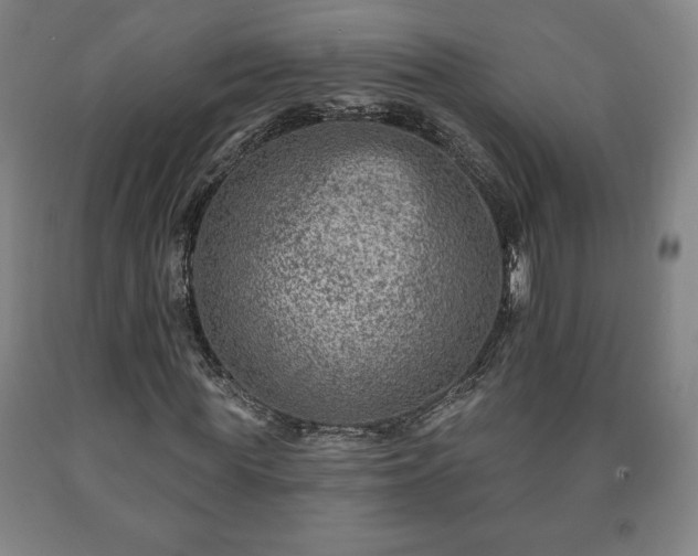 X0000090730819200707271401