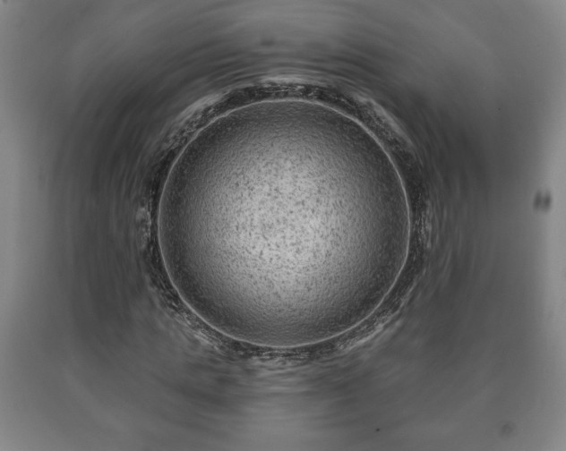 X0000090730821200707271401