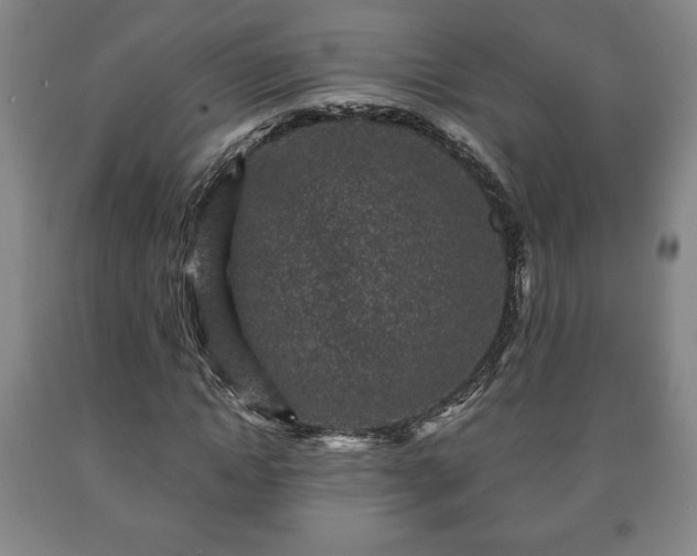 X0000090730822200707271401