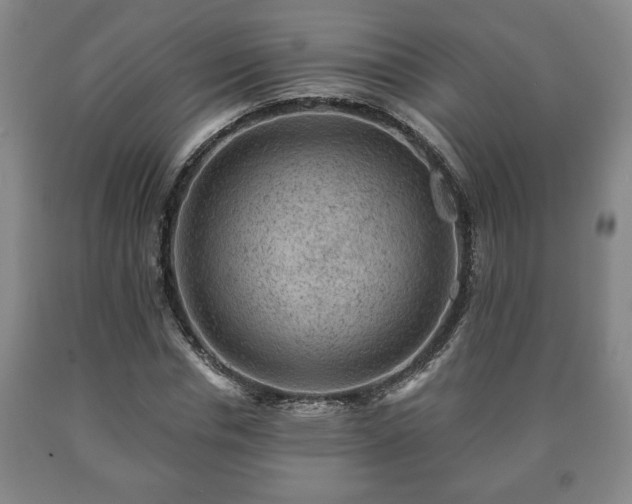 X0000090730826200707271401