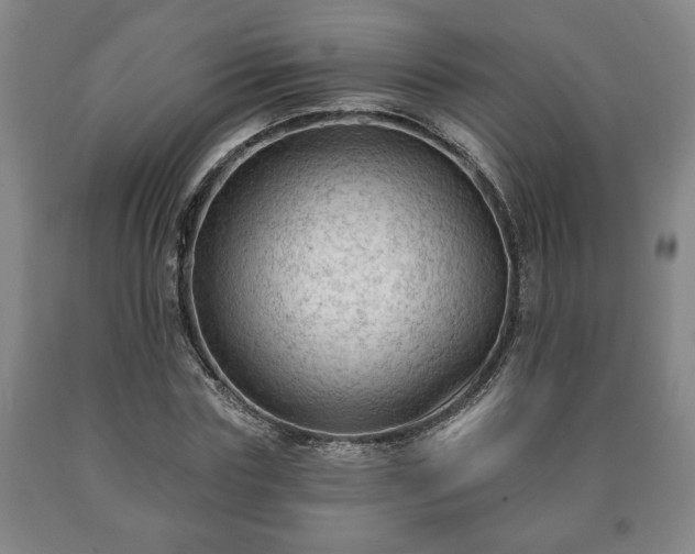 X0000090730827200707271401