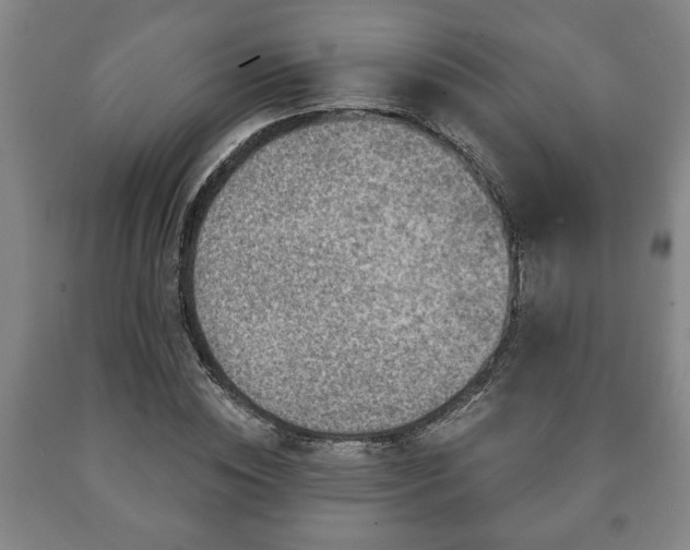 X0000090730828200707271401