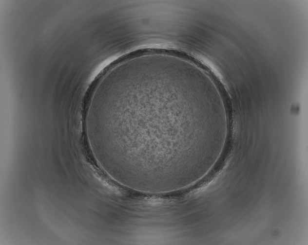 X0000090730829200707271401