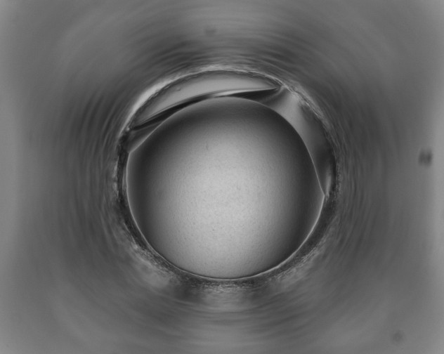 X0000090730830200707271401
