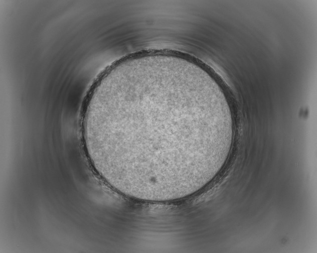X0000090730832200707271401