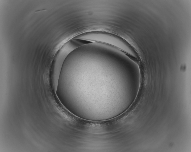 X0000090730834200707271401