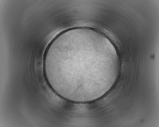 X0000090730836200707271401