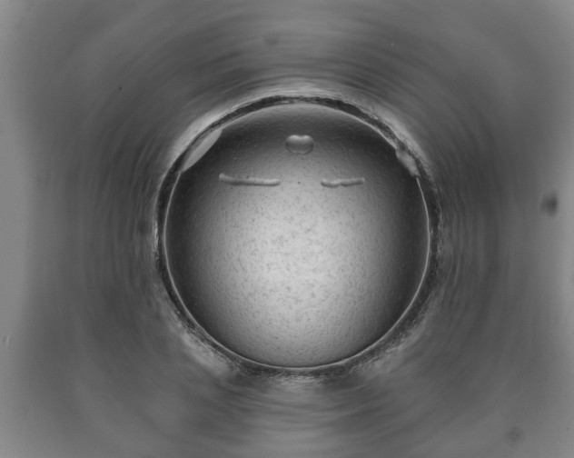 X0000090730837200707271401