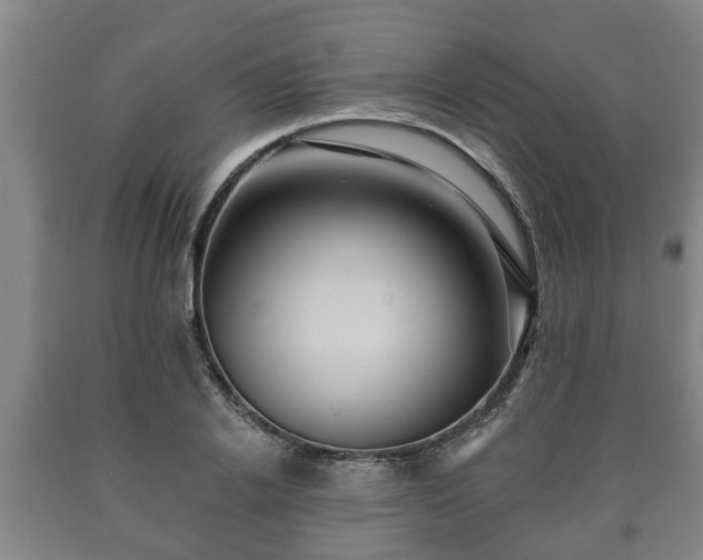 X0000090730838200707271401
