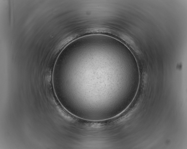 X0000090730841200707271401