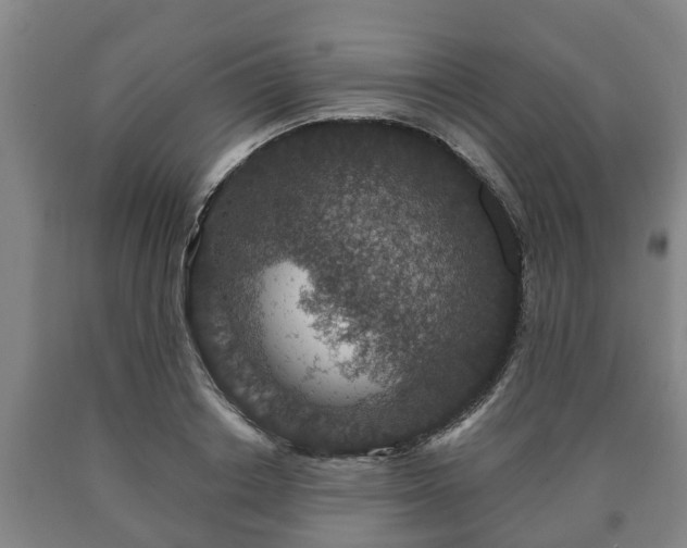X0000090730842200707271401